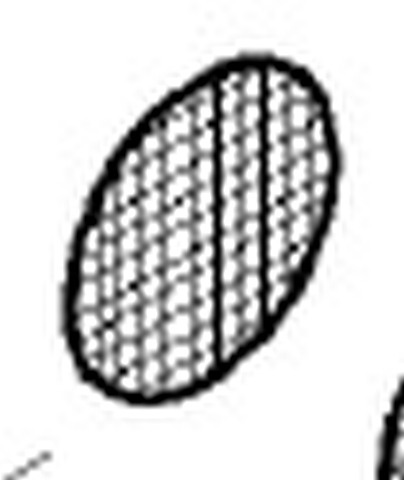 DIAFRAGMA  LS  25X0,5 MM INOX(29080253)